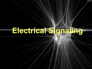 Electrical Signaling