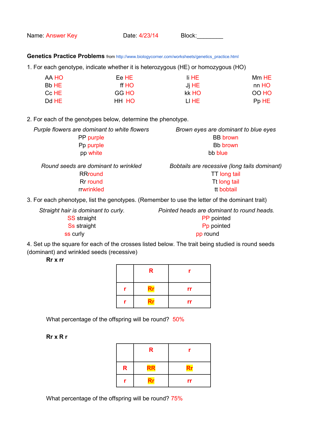 Genetics Practice Answer Key Throughout Genotypes And Phenotypes Worksheet Answers