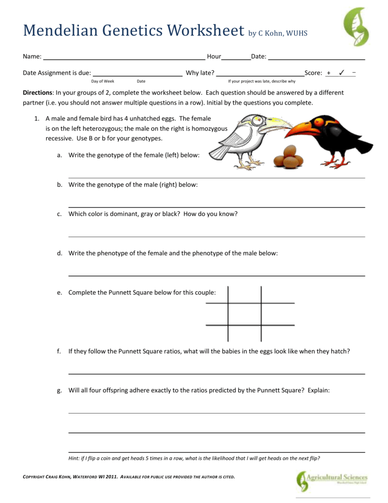 mendelian-genetics-worksheet-answer-key