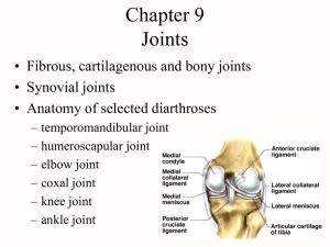 Joint Classification