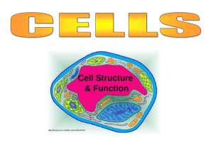 1. CELLS - Structure & Function