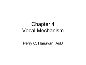 Chapter 6 Vocal Mechanism