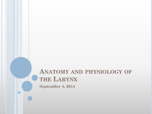 Voice Anatomy and Physiology Powerpoint