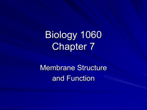 Biology 1060 Chapter 6