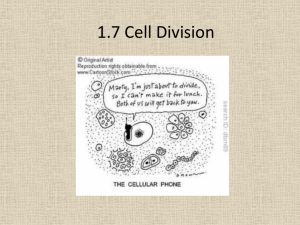 1.7 Cell Division