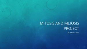 Mitosis and Meiosis Project