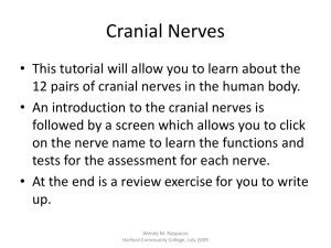 Cranial Nerves - Harford Community College
