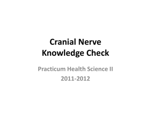 Cranial Nerve Knowledge Check - Practicum-Health-II-2011-2012