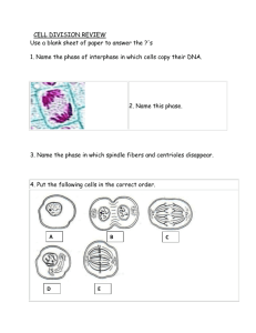 Mitosis Musical Chair Questions