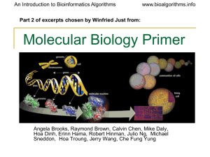 Molecular Biology Primer 2
