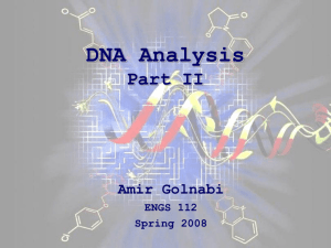 DNA Analysis2