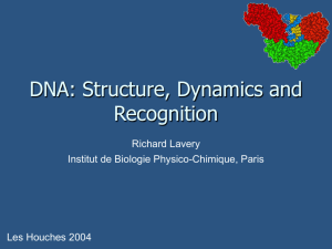 Ascona B-DNA Consortium