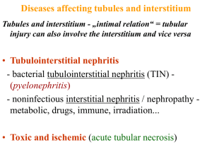 Tubulární a intersticiální choroby ledvin