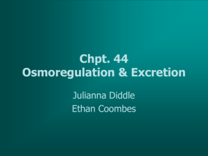 Chpt. 44 Osmoregulation & Excretion