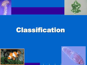 Classification - Mr. Wells' wikispace