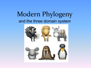 Modern Taxonomy