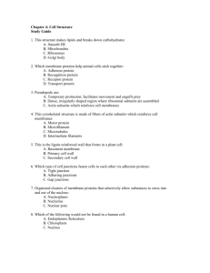 File - Principles of Biology 103