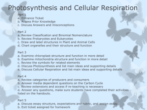 Presentation Photosynthesis Cellular Respiration
