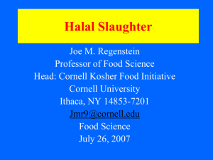 Halal Slaughter - Halal Research Council