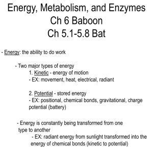 Enzyme notes