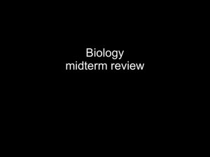 Biology midterm review
