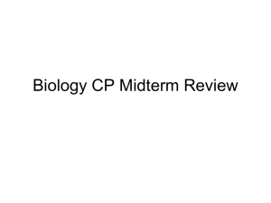 Midterm Review