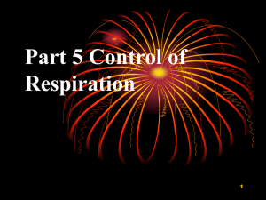 Part 5 Control of Respiration