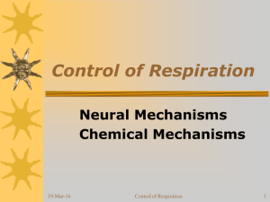 Control of Respiration