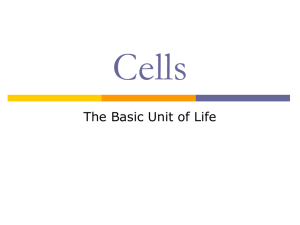 CELLS: The Basic Units of Life