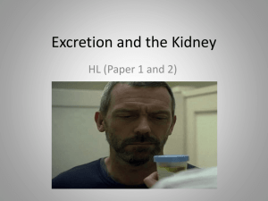 Excretion and the Kidney