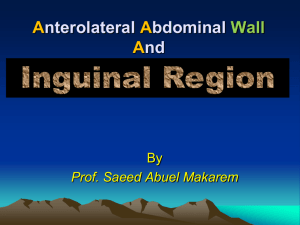 Anterior abdominal wall and hernias2015-05