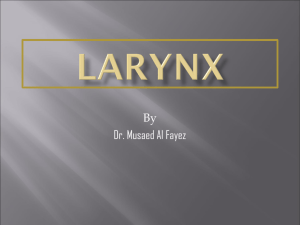 23.LARYNX