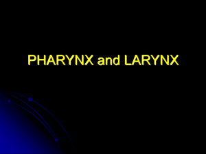 PHARYNX and LARYNX