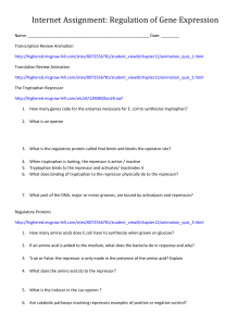 Regulation of Gene Expression Internet Assignment