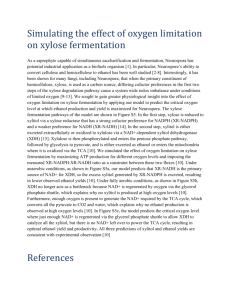 (2008) Effects of oxygen limitation on xylose fermentation