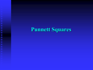 Punnent square practice 1