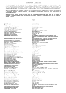 exotic pest or disease [MS Word Document - 50.2 KB]