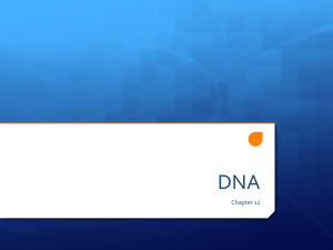 DNA & RNA