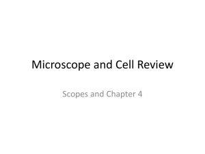 Microscope and Cell Review