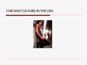 The Chicano Culture in the USA