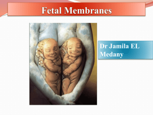 foetal membranes