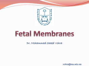 04 Foetal membranes