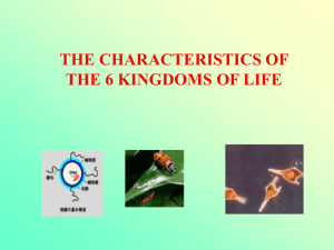 The 6 Kingdoms of Life POWER POINT