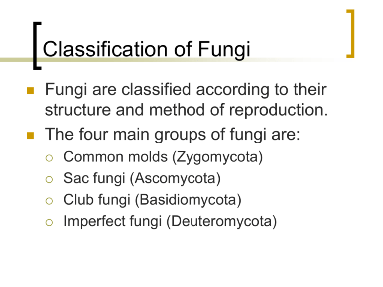 Fungi Classification Based On Reproduction