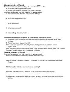 Section: Groups of Fungi