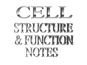 Cell Structure & Function Notes 0809
