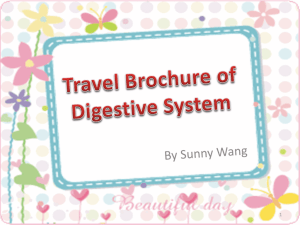 Digestive System Sunny Wang - TangHua2012-2013