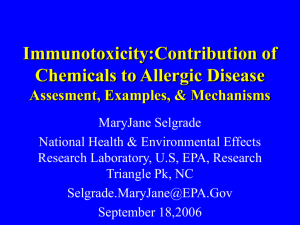 Potential Effects of Chemicals on Allergic Disease