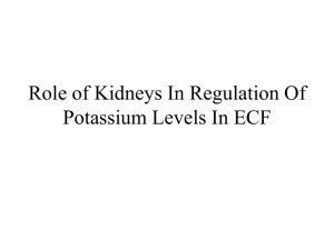 to Potassium regulation ppt