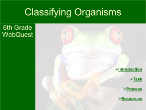 Webquest_ClassifyingOrganisms